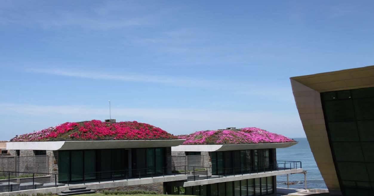 Villa Playa Vik Jose Ignacio Exterior foto